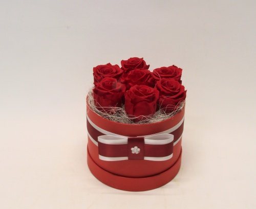Kauasäiliv/ uinuv punane roos UR 11